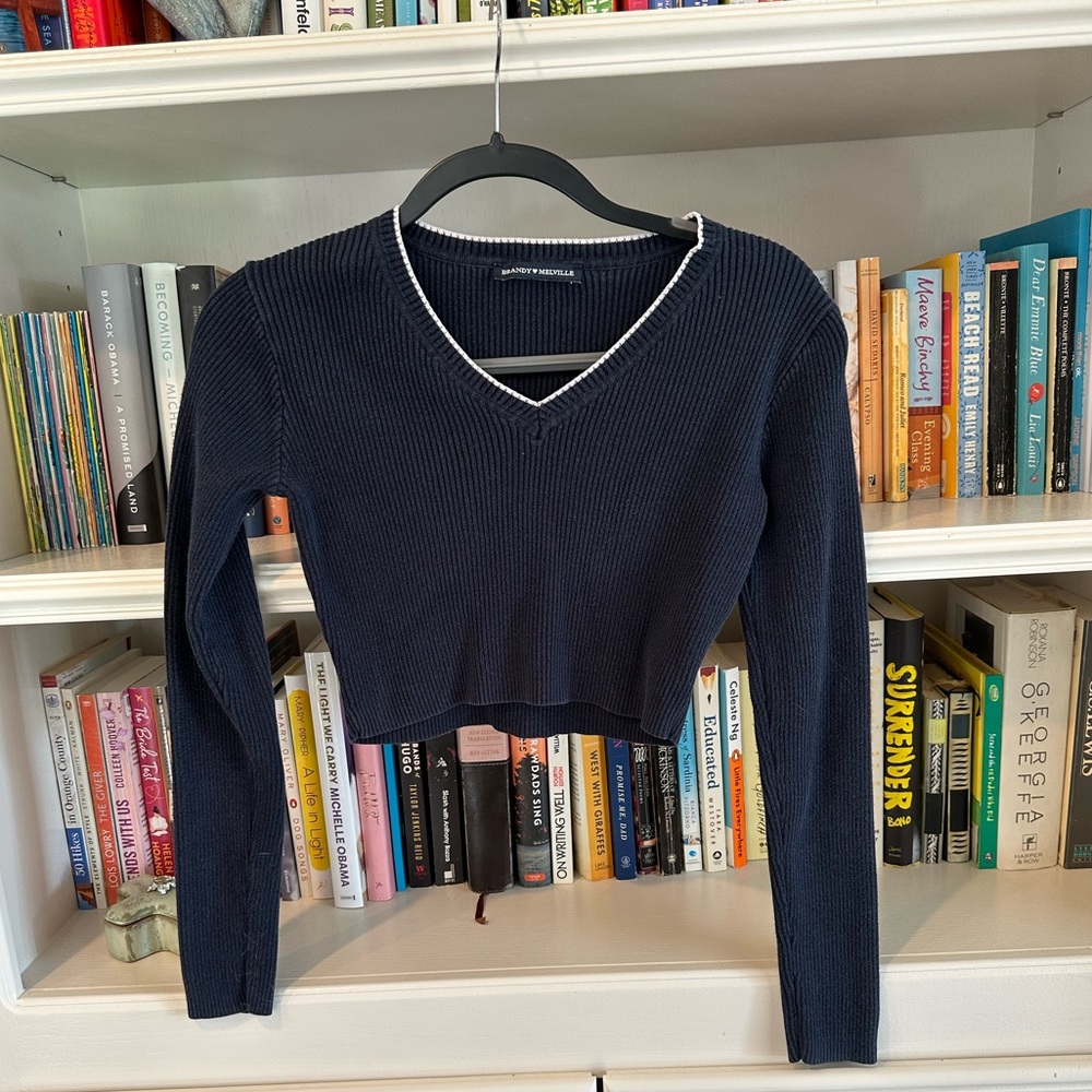 Brandy Melville blue cropped sweater with green & white trim